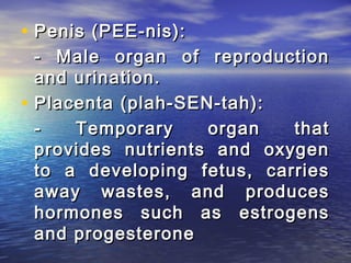 • Penis (PEE-nis):
    - Male organ of reproduction
    and urination.
•   Placenta (plah-SEN-tah):
    -   Temporary     organ   that
    provides nutrients and oxygen
    to a developing fetus, carries
    away wastes, and produces
    hormones such as estrogens
    and progesterone
 