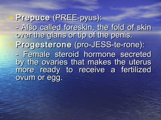 • Prepuce (PREE-pyus):
    - Also called foreskin, the fold of skin
    over the glans or tip of the penis.
•   Progesterone (pro-JESS-te-rone):
    - Female steroid hormone secreted
    by the ovaries that makes the uterus
    more ready to receive a fertilized
    ovum or egg.
 