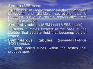 • Semen (SEE-men):
    - Thick, whitish, somewhat sticky fluid composed
    of sperm and glandular secretions that is
    propelled out of a male's reproductive tract
    during ejaculation.
•   Seminal vesicles (SEM-i-nuhl VESS-i-kulls):
    - Glands in males located at the base of the
    bladder that secrete fluid that becomes part of
    semen.
•   Seminiferous        tubules    (sem-i-NIFF-er-us
    TOO-byoolz):
    - Tightly coiled tubes within the testes that
    produce sperm.
 