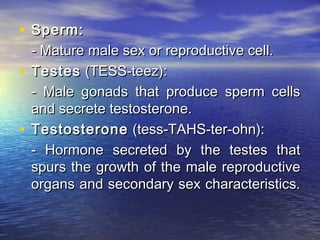 • Sperm:
  - Mature male sex or reproductive cell.
• Testes (TESS-teez):
  - Male gonads that produce sperm cells
  and secrete testosterone.
• Testosterone (tess-TAHS-ter-ohn):
  - Hormone secreted by the testes that
  spurs the growth of the male reproductive
  organs and secondary sex characteristics.
 