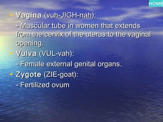 HOME

• Vagina (vuh-JIGH-nah):
  - Muscular tube in women that extends
  from the cervix of the uterus to the vaginal
  opening.
• Vulva (VUL-vah):
  - Female external genital organs.
• Zygote (ZIE-goat):
  - Fertilized ovum
 