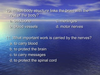 10. Which body structure links the brain with the
  rest of the body?
  a. backbone                c. meninges
  b. blood vessels           d. motor nerves

11. What important work is carried by the nerves?
  a. to carry blood
  b. to protect the brain
  c. to carry messages
  d. to protect the spinal cord
 