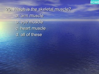 HOME

20. Which is the skeletal muscle?
     a. arm muscle
     b. eye muscle
     c. heart muscle
     d. all of these
 