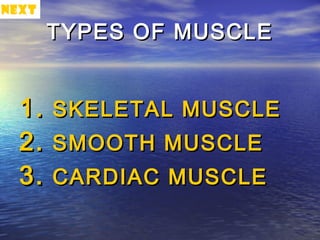 NEXT
       TYPES OF MUSCLE


  1.   SKELETAL MUSCLE
  2.   SMOOTH MUSCLE
  3.   CARDIAC MUSCLE
 
