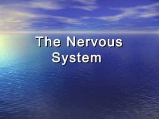 The Nervous
  System
 