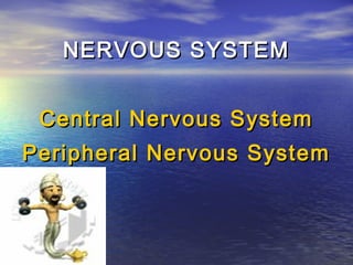 NERVOUS SYSTEM


 Central Nervous System
Peripheral Nervous System
 