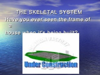 THE SKELETAL SYSTEM
Have you ever seen the frame of
 a
house when it's being built?
 