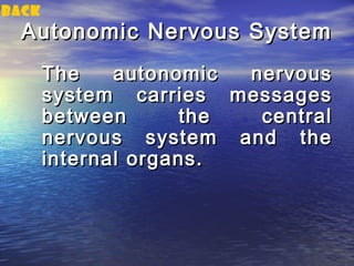 back
  Autonomic Nervous System
       The    autonomic  nervous
       system carries messages
       between       the  central
       nervous system and the
       internal organs.
 