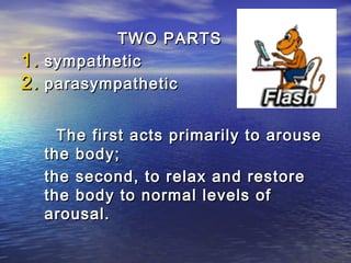 TWO PARTS
1.   sympathetic
2.   parasympathetic


       The first acts primarily to arouse
     the body;
     the second, to relax and restore
     the body to normal levels of
     arousal.
 