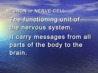 NEURON or NERVE CELL

- The functioning unit of
 the nervous system.
- It carry messages from all
 parts of the body to the
 brain.
 
