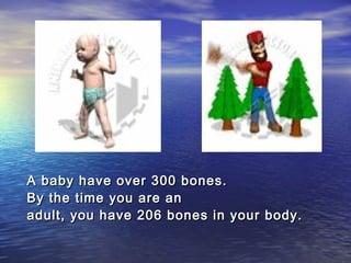 A baby have over 300 bones.
By the time you are an
adult, you have 206 bones in your body.
 