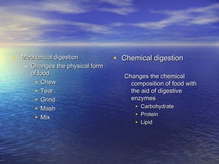 • Mechanical digestion           • Chemical digestion
   – Changes the physical form
     of food                        Changes the chemical
      • Chew                          composition of food with
      • Tear                          the aid of digestive
      • Grind                         enzymes
      • Mash                           • Carbohydrate
      • Mix                            • Protein
                                       • Lipid
 