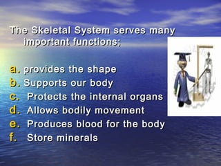 The Skeletal System serves many
  important functions;

a. provides the shape
b. Supports our body
c. Protects the internal organs
d. Allows bodily movement
e. Produces blood for the body
f. Store minerals
 
