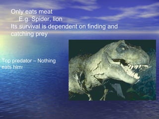 Only eats meat
       E.g. Spider, lion
   Its survival is dependent on finding and
   catching prey



Top predator – Nothing
eats him!
 