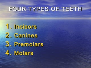 FOUR TYPES OF TEETH


1.   Incisors
2.   Canines
3.   Premolars
4.   Molars
 