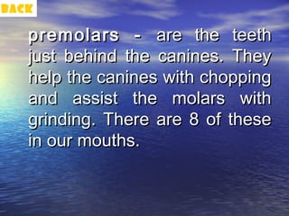 back

   premolars - are the teeth
   just behind the canines. They
   help the canines with chopping
   and assist the molars with
   grinding. There are 8 of these
   in our mouths.
 