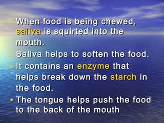 • When food is being chewed,
    saliva is squirted into the
    mouth.
•   Saliva helps to soften the food.
•   It contains an enzyme that
    helps break down the starch in
    the food.
•   The tongue helps push the food
    to the back of the mouth
 