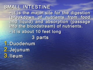 SMALL INTESTINE
  - it is the major site for the digestion
  (breakdown of nutrients from food
  and liquid) and absorption (passage
  into the bloodstream) of nutrients.
  - it is about 10 feet long
           3 parts
1. Duodenum
2. Jejunum
3. Ileum
 