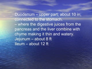 Duodenum – upper part; about 10 in;
connected to the stomach.
– where the digestive juices from the
pancreas and the liver combine with
chyme making it thin and watery.
Jejunum – about 8 ft
Ileum – about 12 ft
 