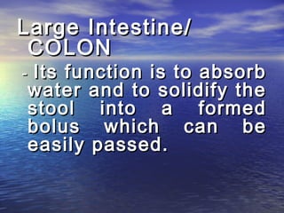 Large Intestine/
 COLON
-Its function is to absorb
water and to solidify the
stool into a formed
bolus which can be
easily passed.
 