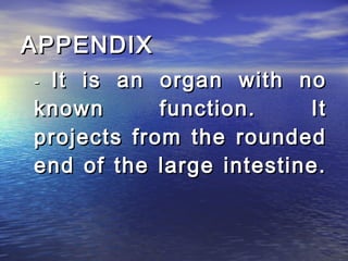 APPENDIX
-It is an organ with no
known       function.    It
projects from the rounded
end of the large intestine.
 