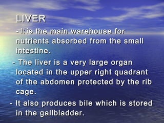 LIVER
 - It is the main warehouse for
 nutrients absorbed from the small
 intestine.
- The liver is a very large organ
 located in the upper right quadrant
 of the abdomen protected by the rib
 cage.
- It also produces bile which is stored
  in the gallbladder.
 