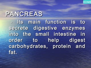 HOME




PANCREAS
    -   Its main function is to
    secrete digestive enzymes
    into the small intestine in
    order    to   help    digest
    carbohydrates, protein and
    fat.
 