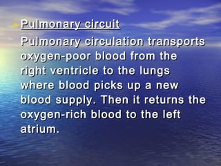 • Pulmonary circuit
 Pulmonary circulation transports
 oxygen-poor blood from the
 right ventricle to the lungs
 where blood picks up a new
 blood supply. Then it returns the
 oxygen-rich blood to the left
 atrium.
 