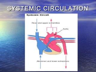 SYSTEMIC CIRCULATION
 