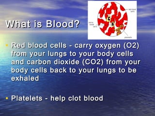 What is Blood?

• Red blood cells - carry oxygen (O2)
 from your lungs to your body cells
 and carbon dioxide (CO2) from your
 body cells back to your lungs to be
 exhaled

• Platelets - help clot blood
 