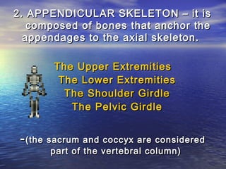 2. APPENDICULAR SKELETON – it is
   composed of bones that anchor the
  appendages to the axial skeleton.

        The Upper Extremities
         The Lower Extremities
          The Shoulder Girdle
           The Pelvic Girdle


 - (the sacrum and coccyx are considered
       part of the vertebral column)
 