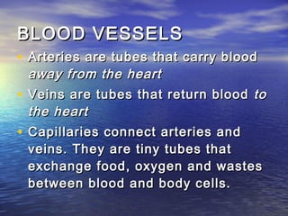 BLOOD VESSELS
• Arteries are tubes that carry blood
  away from the heart
• Veins are tubes that return blood to
  the heart
• Capillaries connect arteries and
  veins. They are tiny tubes that
  exchange food, oxygen and wastes
  between blood and body cells.
 