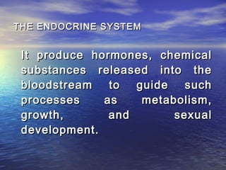 THE ENDOCRINE SYSTEM


 It produce hormones, chemical
 substances released into the
 bloodstream   to  guide   such
 processes    as    metabolism,
 growth,       and       sexual
 development.
 