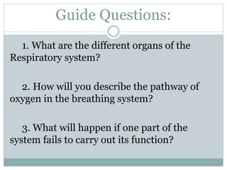 Guide Questions:
1. What are the different organs of the
Respiratory system?
2. How will you describe the pathway of
oxygen in the breathing system?
3. What will happen if one part of the
system fails to carry out its function?
 