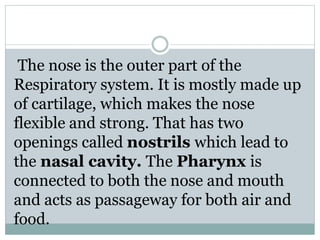 The nose is the outer part of the
Respiratory system. It is mostly made up
of cartilage, which makes the nose
flexible and strong. That has two
openings called nostrils which lead to
the nasal cavity. The Pharynx is
connected to both the nose and mouth
and acts as passageway for both air and
food.
 