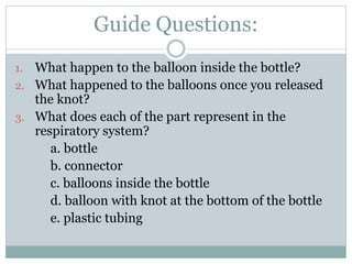 Guide Questions:
1. What happen to the balloon inside the bottle?
2. What happened to the balloons once you released
the knot?
3. What does each of the part represent in the
respiratory system?
a. bottle
b. connector
c. balloons inside the bottle
d. balloon with knot at the bottom of the bottle
e. plastic tubing
 