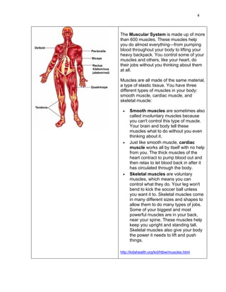 4




The Muscular System is made up of more
than 600 muscles. These muscles help
you do almost everything—from pumping
blood throughout your body to lifting your
heavy backpack. You control some of your
muscles and others, like your heart, do
their jobs without you thinking about them
at all.

Muscles are all made of the same material,
a type of elastic tissue. You have three
different types of muscles in your body:
smooth muscle, cardiac muscle, and
skeletal muscle:

 •   Smooth muscles are sometimes also
     called involuntary muscles because
     you can't control this type of muscle.
     Your brain and body tell these
     muscles what to do without you even
     thinking about it.
 •   Just like smooth muscle, cardiac
     muscle works all by itself with no help
     from you. The thick muscles of the
     heart contract to pump blood out and
     then relax to let blood back in after it
     has circulated through the body.
 •   Skeletal muscles are voluntary
     muscles, which means you can
     control what they do. Your leg won't
     bend to kick the soccer ball unless
     you want it to. Skeletal muscles come
     in many different sizes and shapes to
     allow them to do many types of jobs.
     Some of your biggest and most
     powerful muscles are in your back,
     near your spine. These muscles help
     keep you upright and standing tall.
     Skeletal muscles also give your body
     the power it needs to lift and push
     things.

http://kidshealth.org/kid/htbw/muscles.html
 
