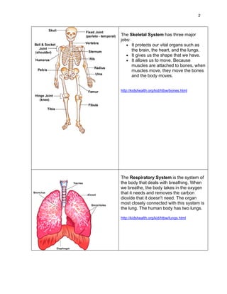 2




The Skeletal System has three major
jobs:
   • It protects our vital organs such as
      the brain, the heart, and the lungs.
   • It gives us the shape that we have.
   • It allows us to move. Because
      muscles are attached to bones, when
      muscles move, they move the bones
      and the body moves.


http://kidshealth.org/kid/htbw/bones.html




The Respiratory System is the system of
the body that deals with breathing. When
we breathe, the body takes in the oxygen
that it needs and removes the carbon
dioxide that it doesn't need. The organ
most closely connected with this system is
the lung. The human body has two lungs.

http://kidshealth.org/kid/htbw/lungs.html
 