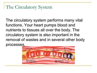 The Circulatory System
The circulatory system performs many vital
functions. Your heart pumps blood and
nutrients to tissues all over the body. The
circulatory system is also important in the
removal of wastes and in several other body
processes.
 