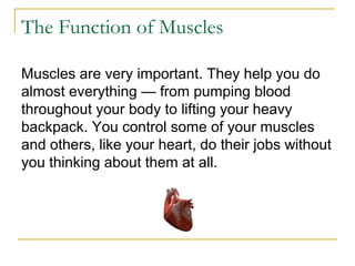 The Function of Muscles
Muscles are very important. They help you do
almost everything — from pumping blood
throughout your body to lifting your heavy
backpack. You control some of your muscles
and others, like your heart, do their jobs without
you thinking about them at all.
 