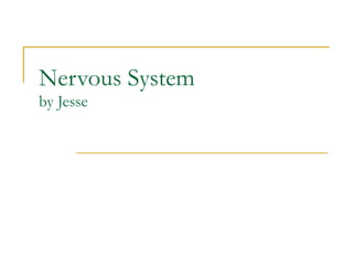 Nervous System
by Jesse
 