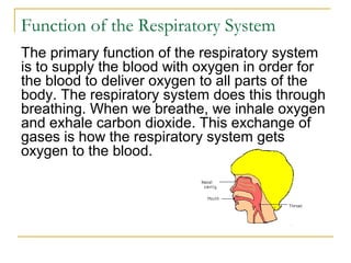 Function of the Respiratory System
The primary function of the respiratory system
is to supply the blood with oxygen in order for
the blood to deliver oxygen to all parts of the
body. The respiratory system does this through
breathing. When we breathe, we inhale oxygen
and exhale carbon dioxide. This exchange of
gases is how the respiratory system gets
oxygen to the blood.
 