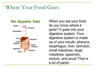 Where Your Food Goes
When you eat your food,
do you know where it
goes? It goes into your
digestive system. Your
digestive system is made
up of your mouth, pharynx,
esophagus, liver, stomach,
small intestines, large
intestines, appendix,
rectum, and anus! That is
a lot of parts!
 