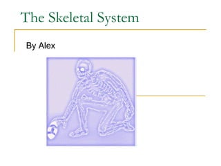 The Skeletal System By Alex 