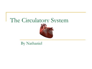 The Circulatory System By Nathaniel 