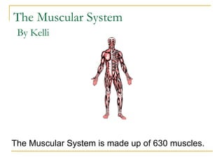 The Muscular System The Muscular System is made up of 630 muscles. By Kelli 