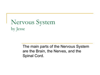 Nervous System by Jesse The main parts of the Nervous System are the Brain, the Nerves, and the Spinal Cord. 