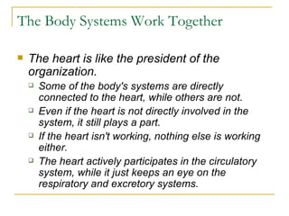 The Body Systems Work Together The heart is like the president of the organization.  Some of the body's systems are directly connected to the heart, while others are not.  Even if the heart is not directly involved in the system, it still plays a part.  If the heart isn't working, nothing else is working either.  The heart actively participates in the circulatory system, while it just keeps an eye on the respiratory and excretory systems.  
