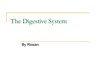 The Digestive System By Rowan 