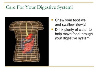 Care For Your Digestive System! Chew your food well and swallow slowly! Drink plenty of water to help move food through your digestive system! 